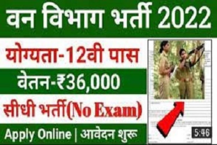 रोजगार/मार्गदर्शन : 40000 पदों पर होगी भर्ती, वन विभाग में 1900 पदों के लिए मंगाए आवेदन