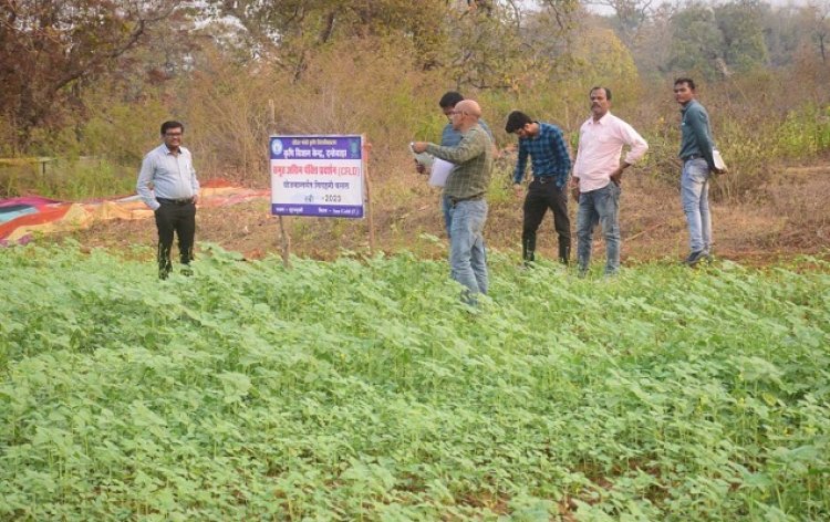 जैविक तरीकों का उपयोग कर ली जा सकती है अच्छी फसल