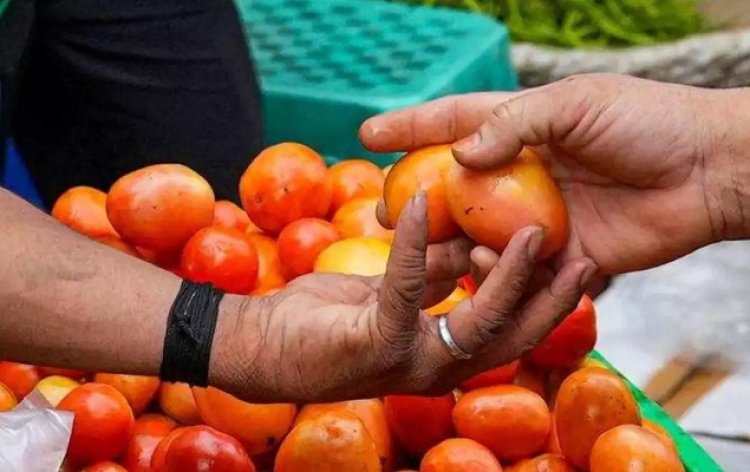 सरकार उठाएगी महंगे टमाटर का बोझ, मिलेगी राहत