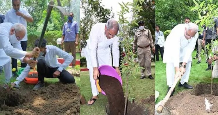 हरेली तिहार है हरियाली का और हरियाली ही तो श्रृंगार है हमारी छत्तीसगढ़ महतारी का