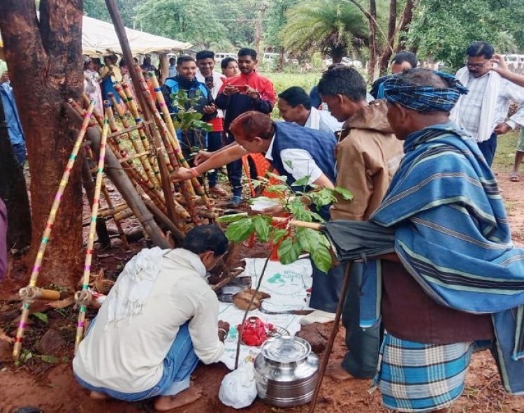 छत्तीसगढ़िया ओलंपिक का शुभारंभ विधायक कश्यप ने किया