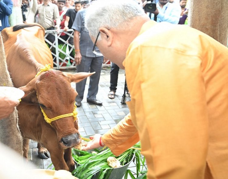 हरेली तिहार पर जन्मी बछिया की सीएम ने पूजा-अर्चना की