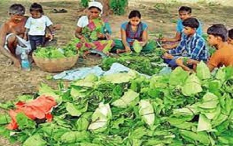 जंगल-जतरा आज, जुटेंगे एक लाख वनवासी, बंटेगा 23 करोड़ का बोनस