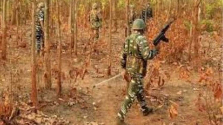 Naxalite: नक्‍सलियों और जवानों के बीच मुठभेड़, एक नक्‍सली ढेर, भरमार बंदूक बरामद..