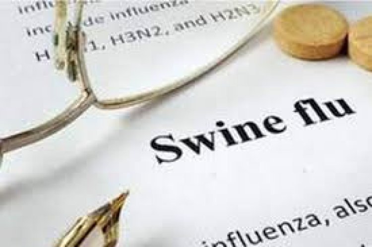 Swine flu : जिले में एक ही दिन 9 संक्रमित मिले..