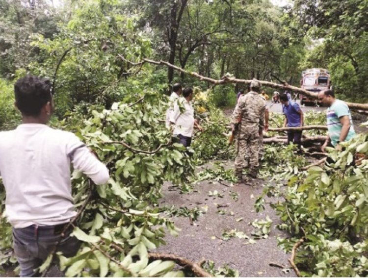 तेज बारिश व हवा के कारण सड़क पर गिरा पेड़, मार्ग अवरुद्ध..