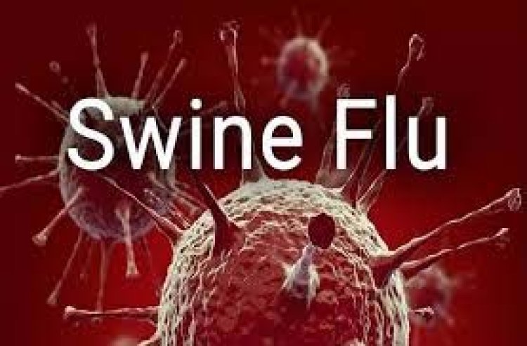 Swine Flu: स्वाइन फ्लू का कहर,15 वर्षीय छात्रा  की मौत, मचा हडकंप