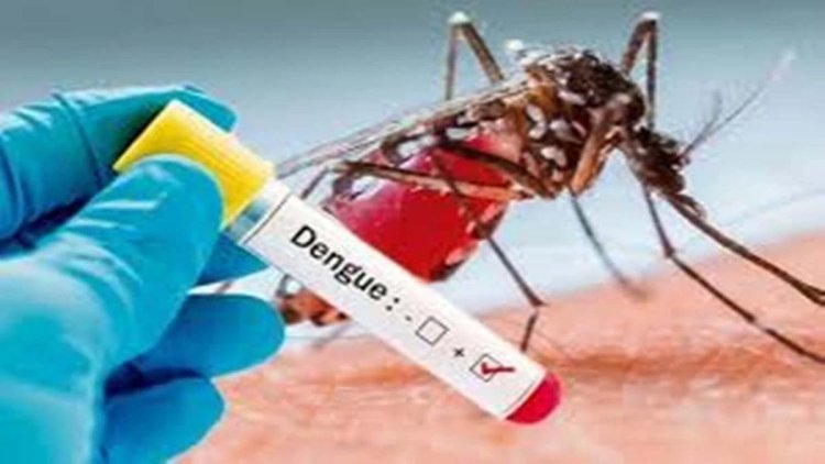 डेंगू (Dengue) के मिले 38 नए Positive मरीज, स्वास्थ्य विभाग में हडकंप