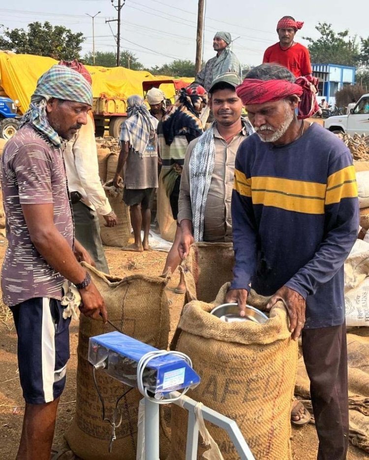 Chhattisgarh : अब तक 32.29 लाख मीट्रिक टन धान की हुई खरीदी..