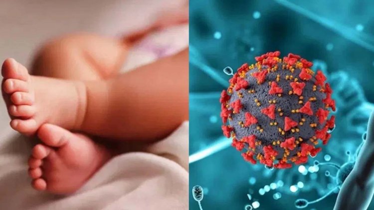 चीन के खतरनाक वायरस HMPV Virus की भारत में हुई एंट्री..  कर्नाटक में मिला HMPV के 2 केस